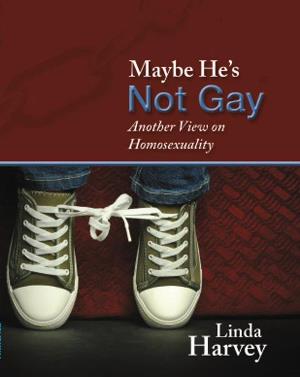 Maybe Hes Not Gay cover