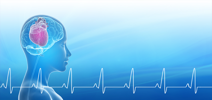 HMI-Blog-Heart-Brain-Interactions