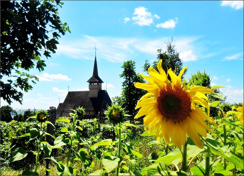 Biserică